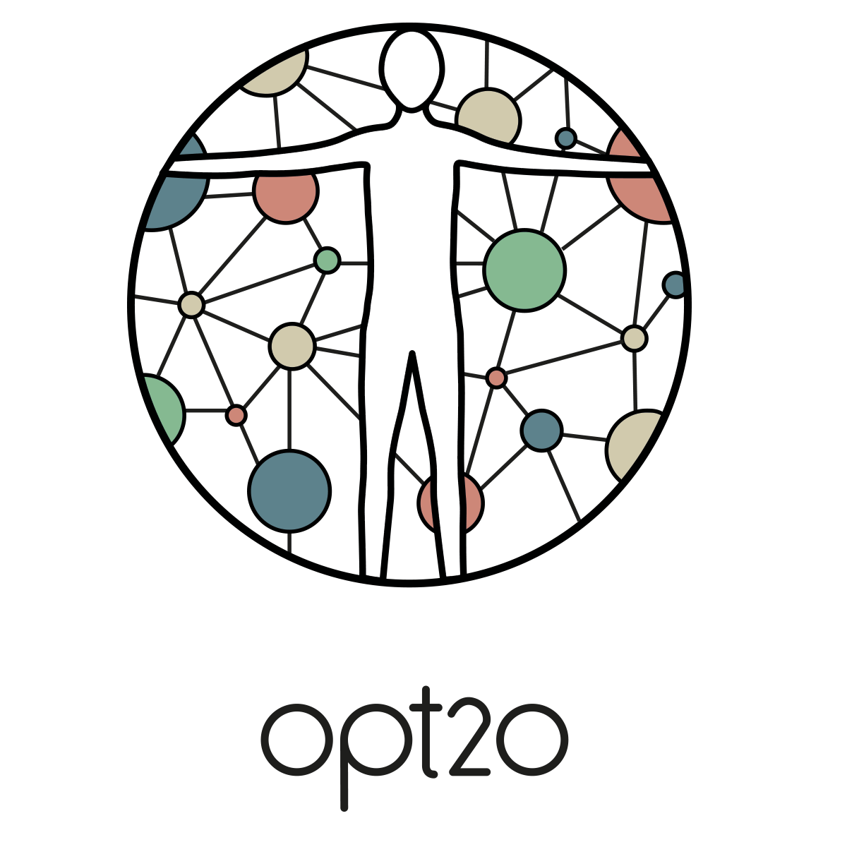 opt2o.png