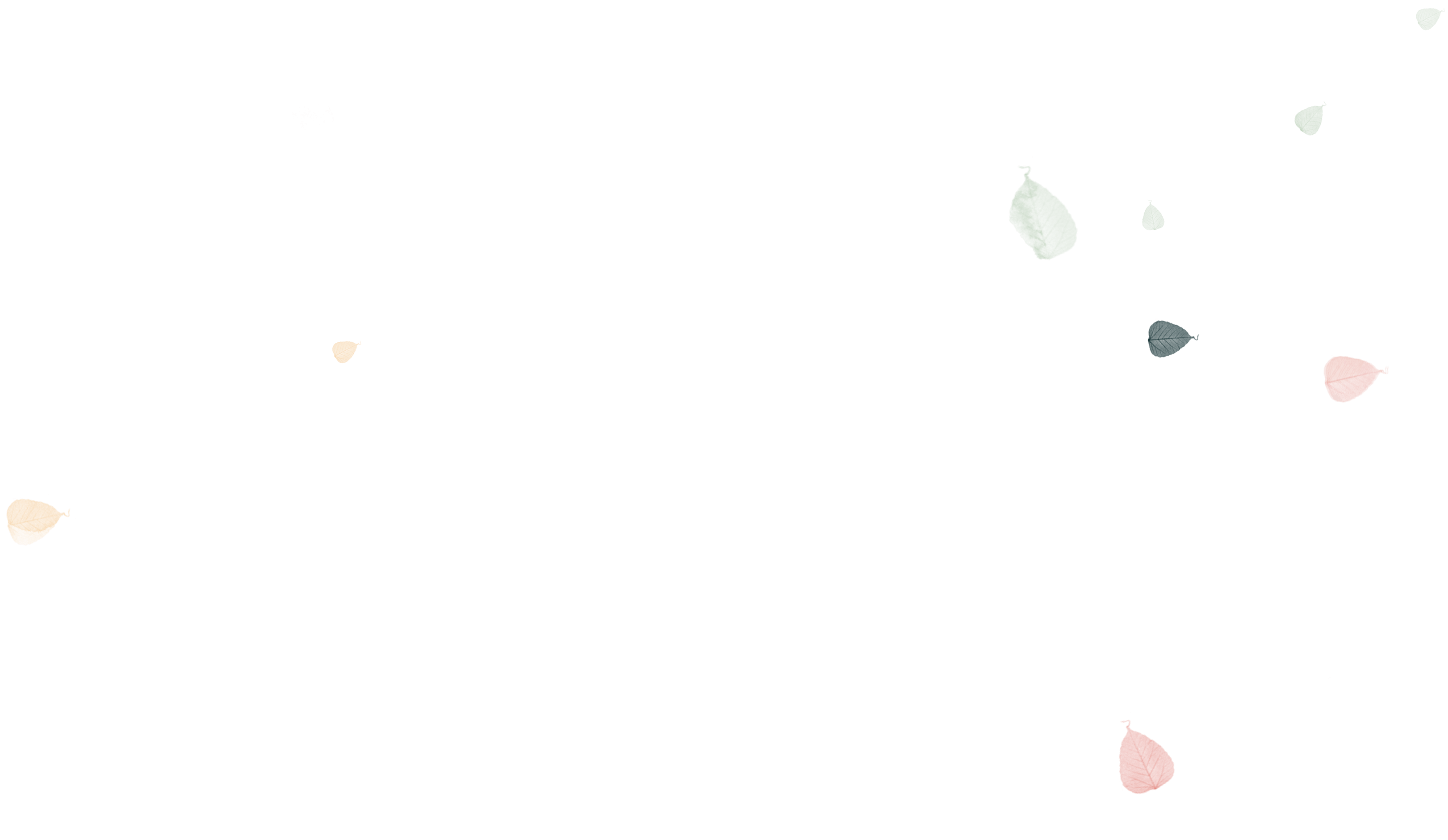 Aufwind Logo Leaves